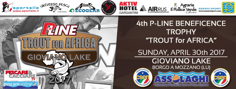 Immagine copertina PLINE